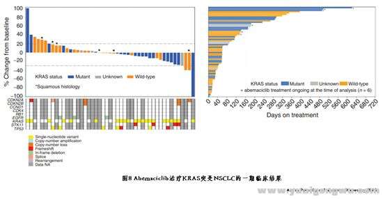 KRAS突变非小细胞10.jpg