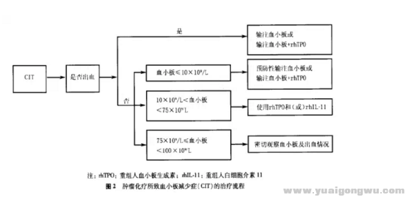 CIT的治疗流程