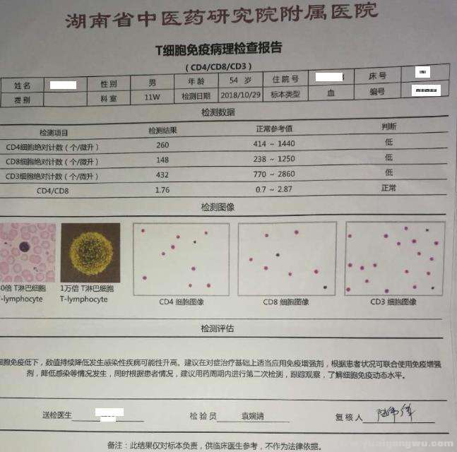 1029 T细胞免疫病理检查.jpg