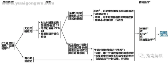 中枢神经系统肿瘤6050.png