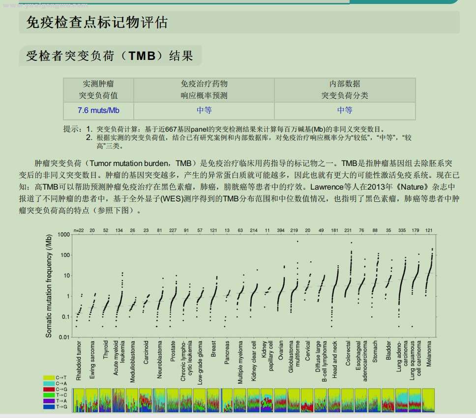 05突变负荷TMB结果.jpg