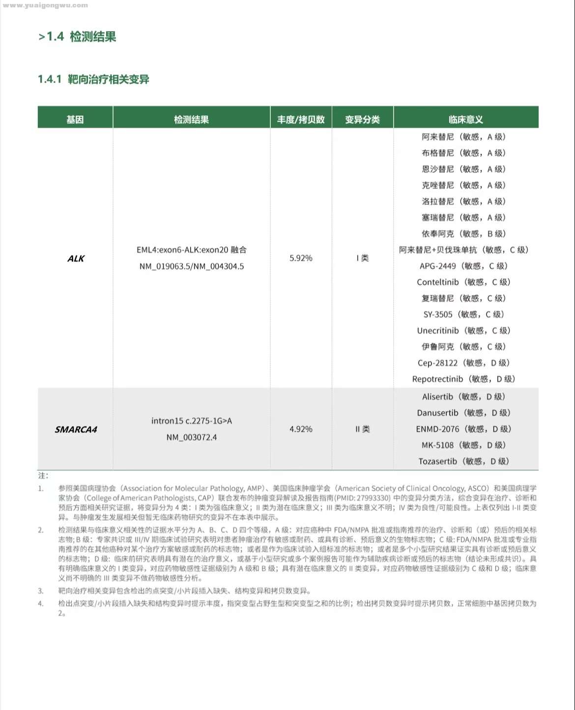 基因检测报告.jpg