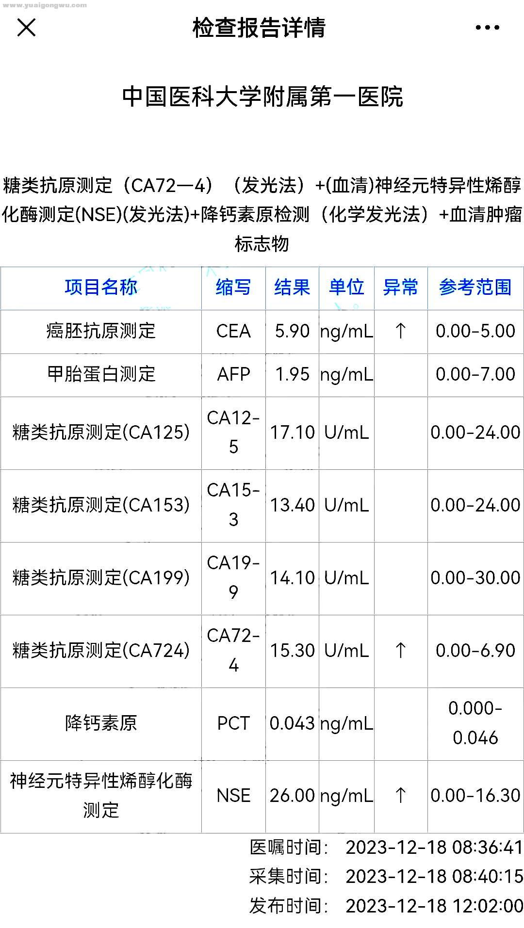 检5.jpg